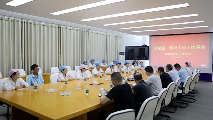 抓黨建、促穩(wěn)工”——炬神電子黨支部為企業(yè)穩(wěn)工獻計獻策