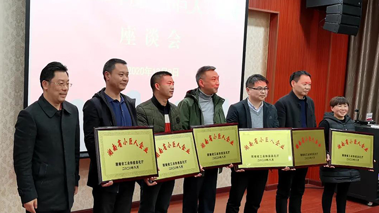 喜大普奔！炬神電子被評(píng)為湖南省“小巨人”企業(yè)