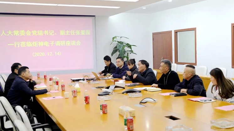 郴州市人大常委會(huì)黨組書記、副主任張愛國(guó)到炬神電子調(diào)研安全生產(chǎn)工作